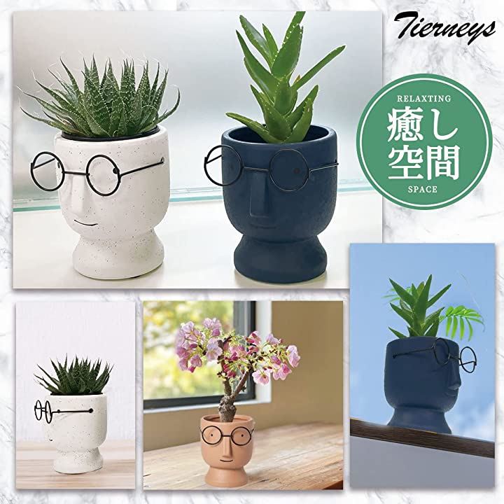 Tierneys 鉢 植木鉢 陶器鉢 プランター プラントポット 底穴あり 北欧 多肉植物 観葉植物 10 x 12