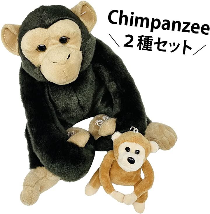 動物 猿 チンパンジー ぬいぐるみ ＆ ボールチェーン 2点セット ぶらさがり ぬいぐるみ おもちゃ おもちゃ おもちゃ・玩具・ホビー3