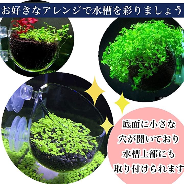 アクアリウム 水槽 オーナメント インテリア かくれ家 ガラス 植物 無 ポット 透明 ２個 透明 クイックスピード ヤマダモール店