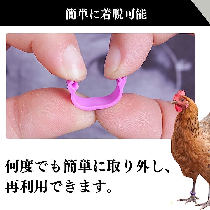 鳩サイズ足環 足輪10個セット - 鳥用品