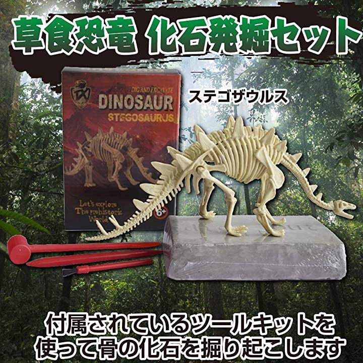 古代 恐竜 化石発掘セット ティラノサウルス 角龍 草食恐竜 玩具 知育