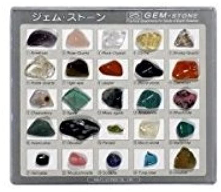 ジェムストーン宝石鉱物標本25種コレクション Gemstones25 科学・教育 おもちゃ おもちゃ・玩具・ホビー