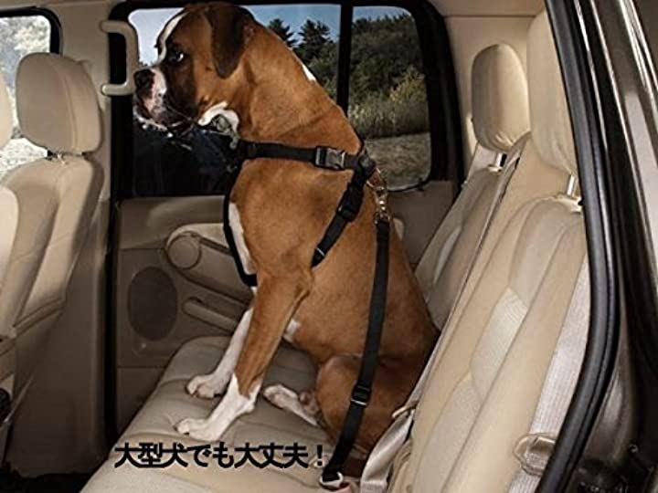 1194円 ５５％以上節約 Yullmu 犬用シートベルト ペット用 ヘッドレスト 多機能 ドライブ 車用安全ベルト 簡単装着 飛び出し防止 長さ調節